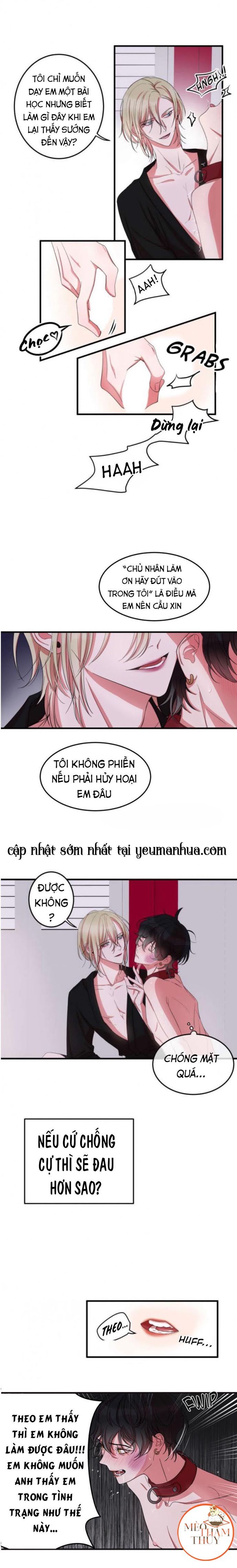 Khẩu Vị Và Sự Tôn Thờ Của Người Yêu Tôi Chapter 4 - Trang 4