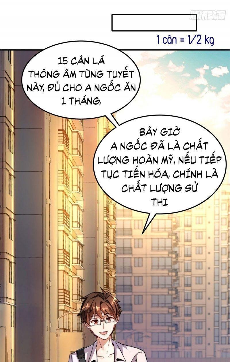 Thần Sủng Tiến Hóa Chapter 12 - Trang 12