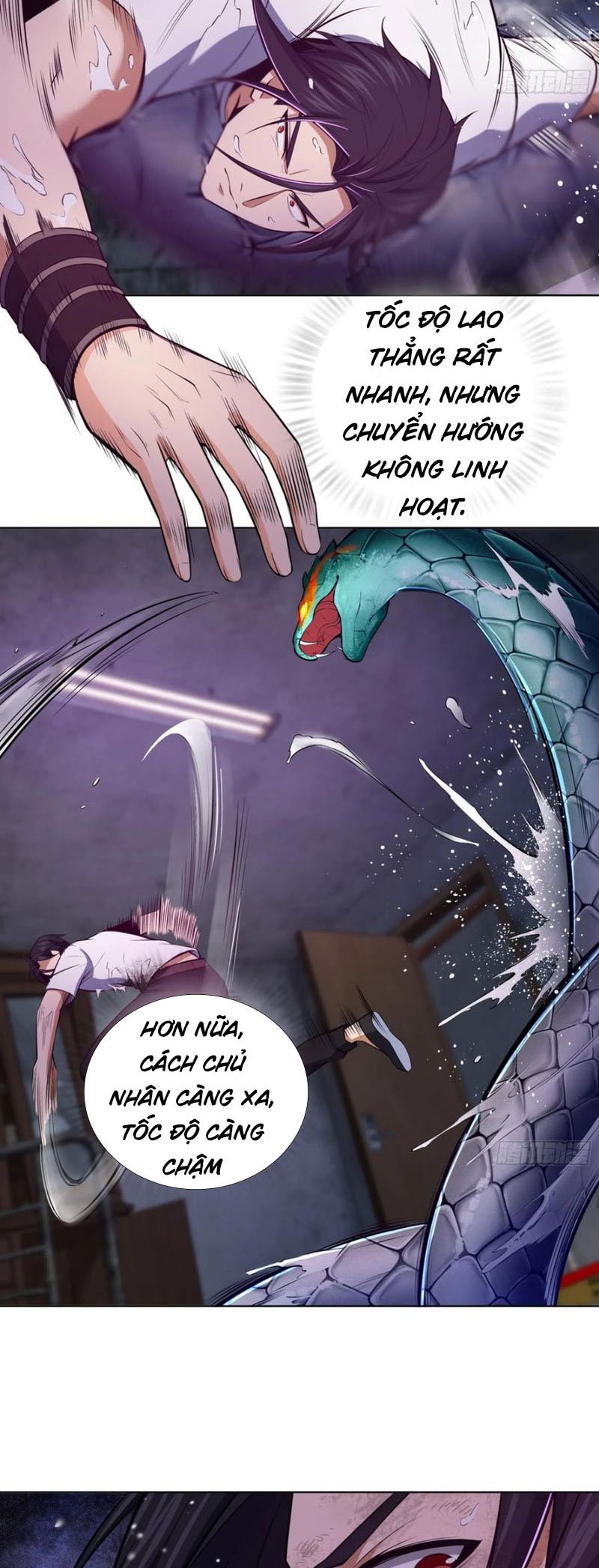 Xuyên Không Thành Chim Chapter 28 - Trang 15