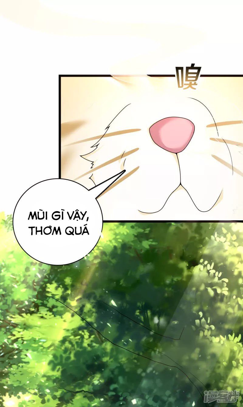 Khoa Kỹ Đại Tiên Tông Chapter 19 - Trang 6