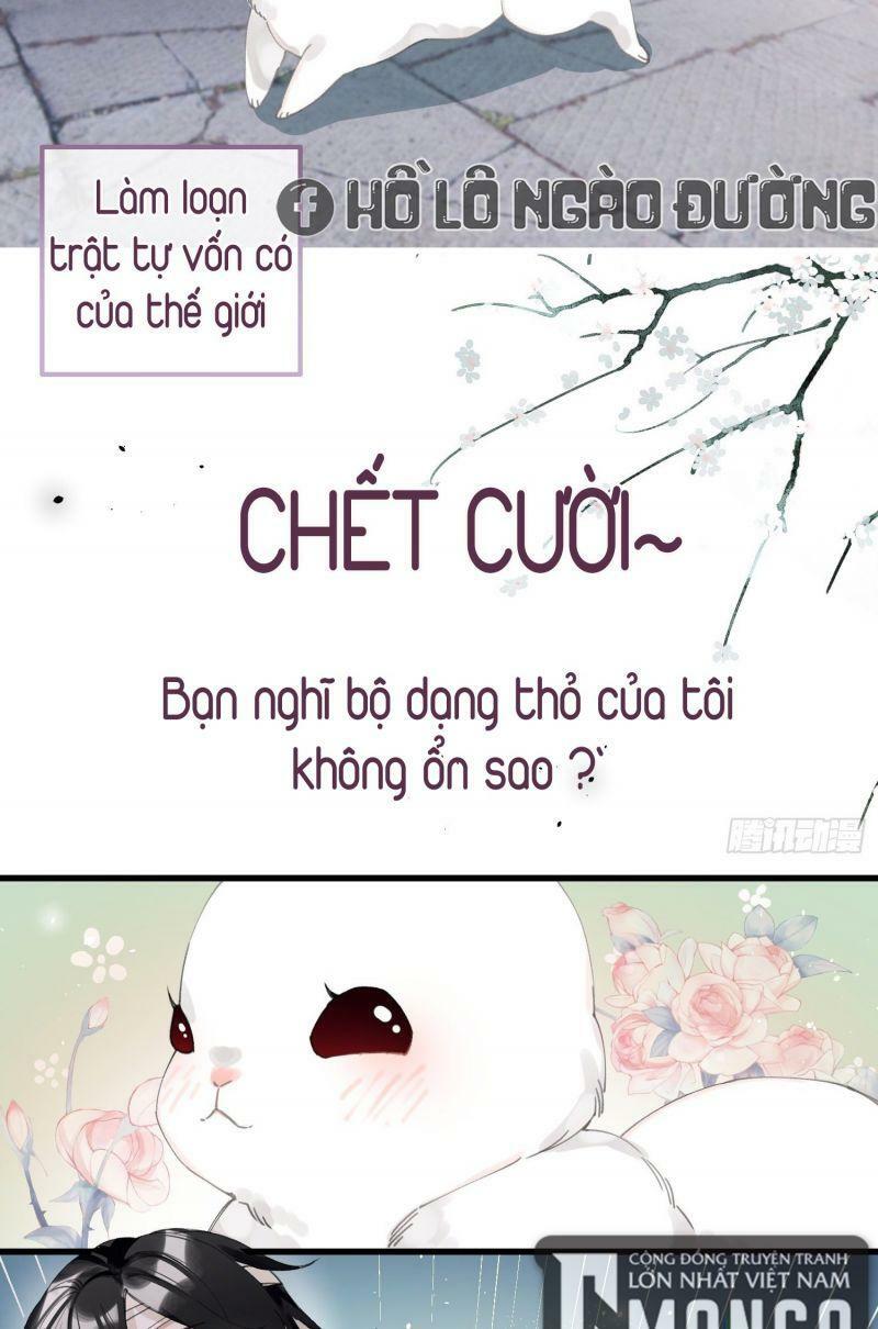 Công Chúa Pháo Hôi Muốn Tùy Tiện Đến Cùng Chapter 26 - Trang 4