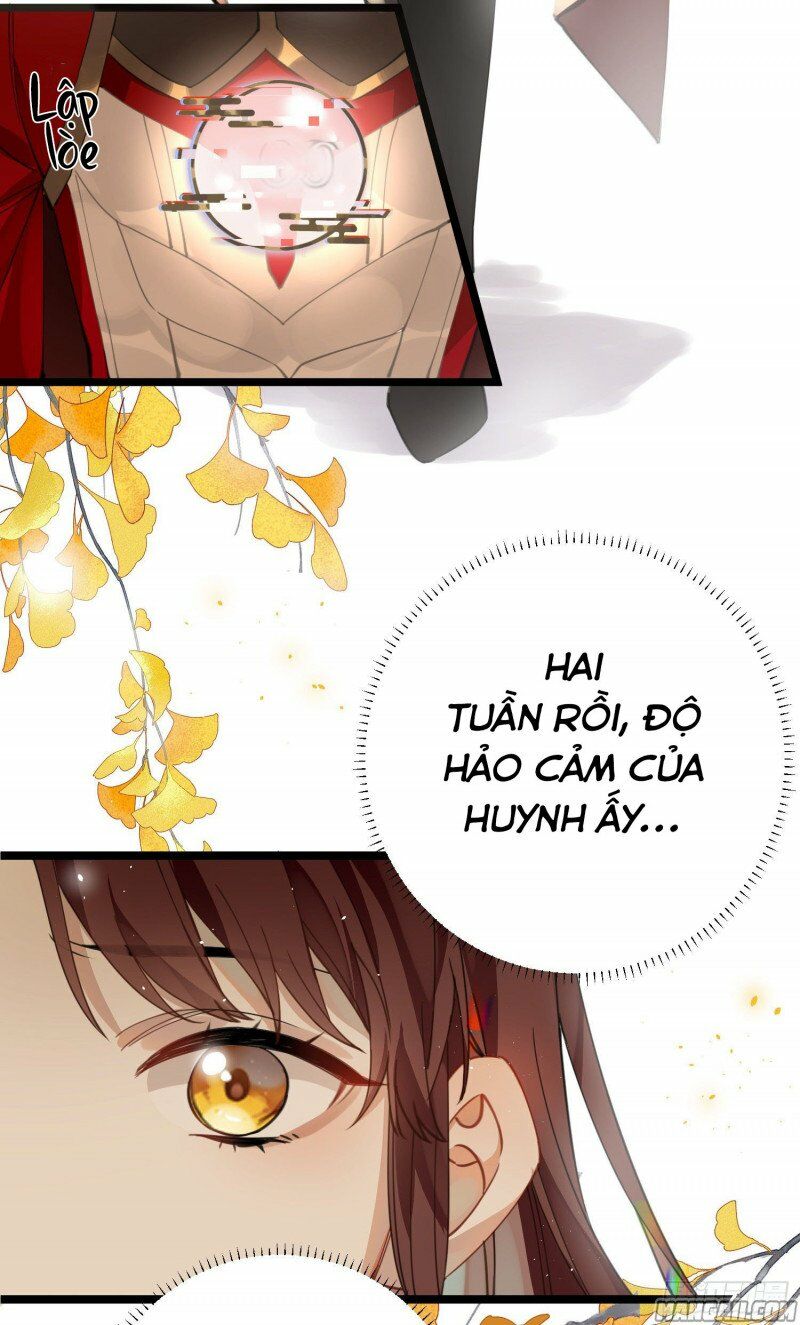 Công Chúa Pháo Hôi Muốn Tùy Tiện Đến Cùng Chapter 31 - Trang 5