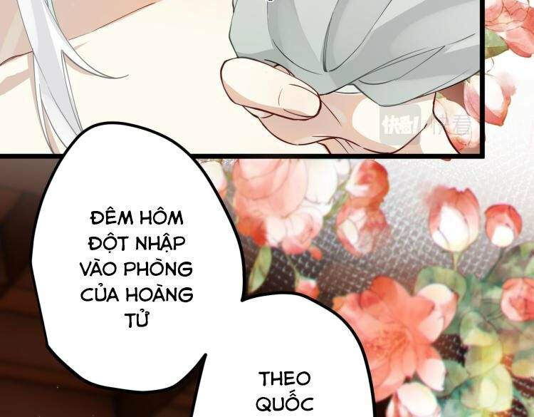 Công Chúa Pháo Hôi Muốn Tùy Tiện Đến Cùng Chapter 45 - Trang 2