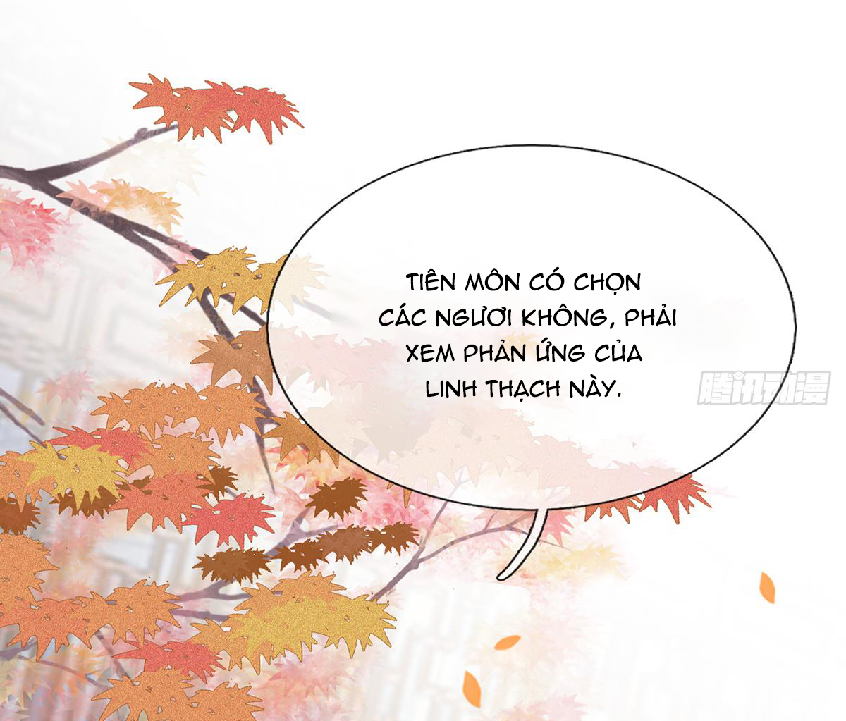 Đánh Chết Cũng Không Làm Sư Tôn Chapter 10 - Trang 20