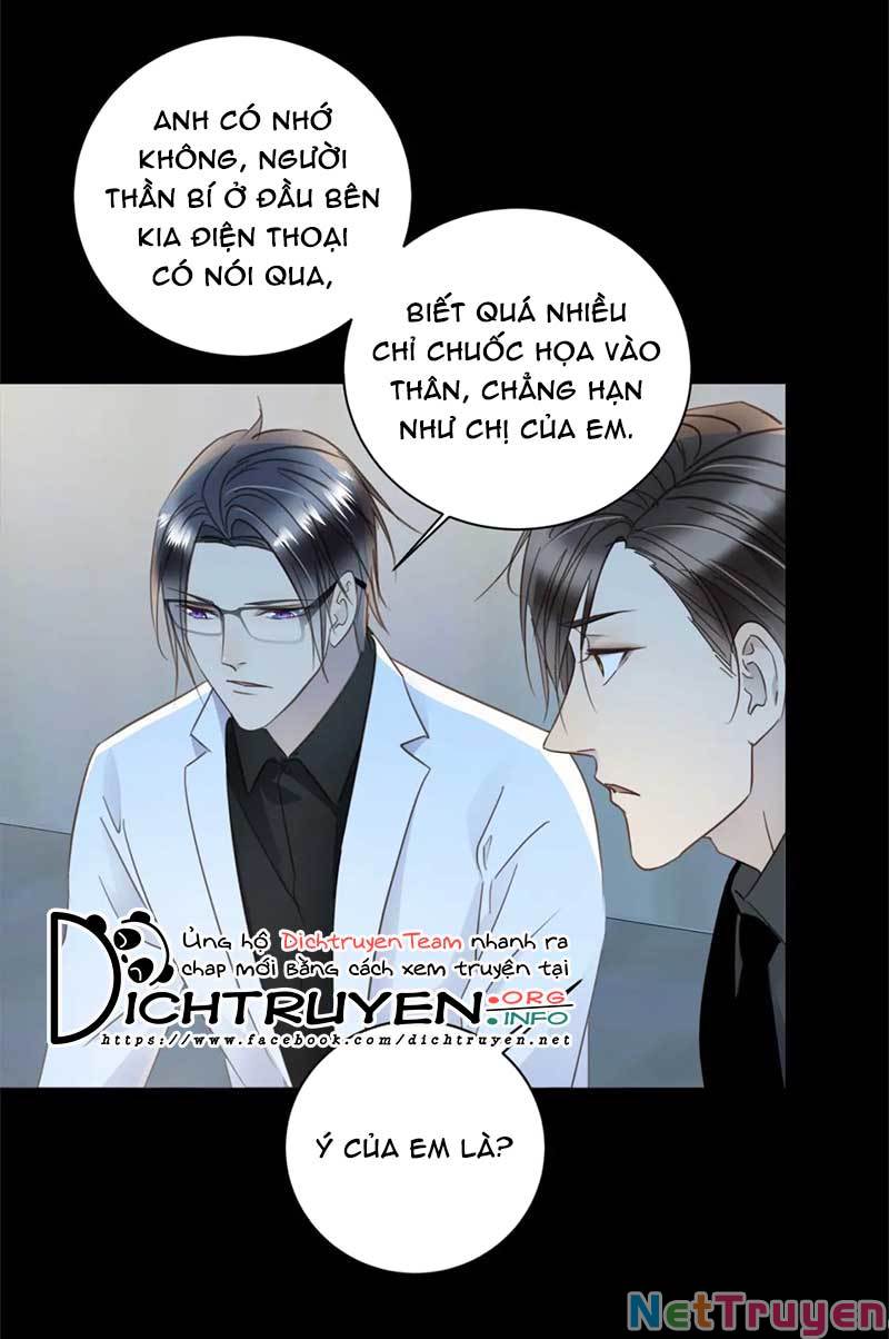 Tiên Sinh Nói Dối Chapter 58 - Trang 28