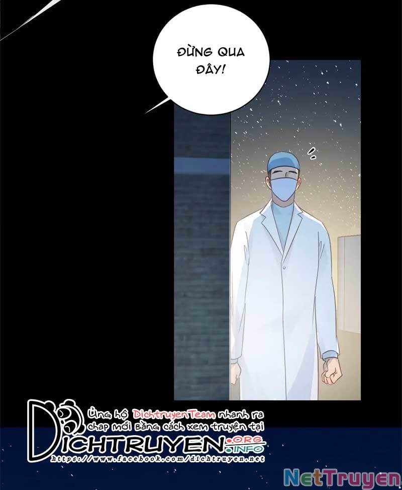 Tiên Sinh Nói Dối Chapter 58 - Trang 36