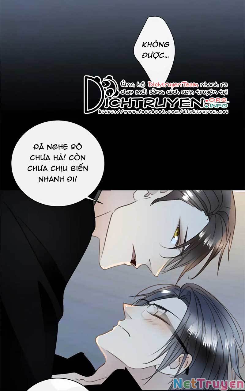 Tiên Sinh Nói Dối Chapter 58 - Trang 43