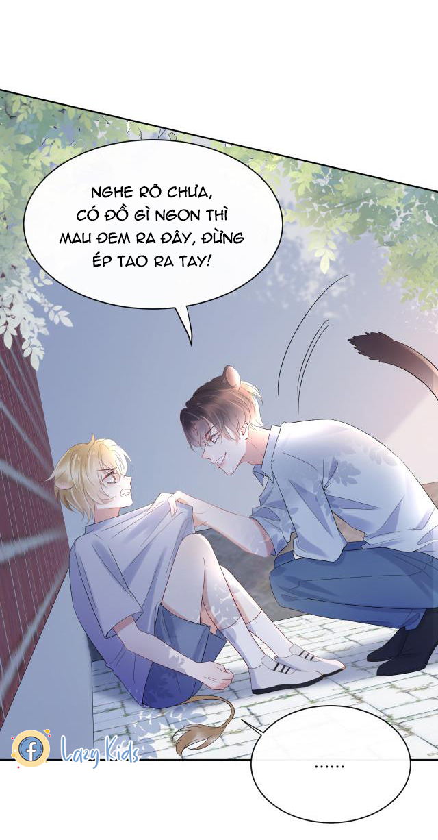 Một Ngụm Nuốt Trọn Thỏ Con Chapter 3 - Trang 13