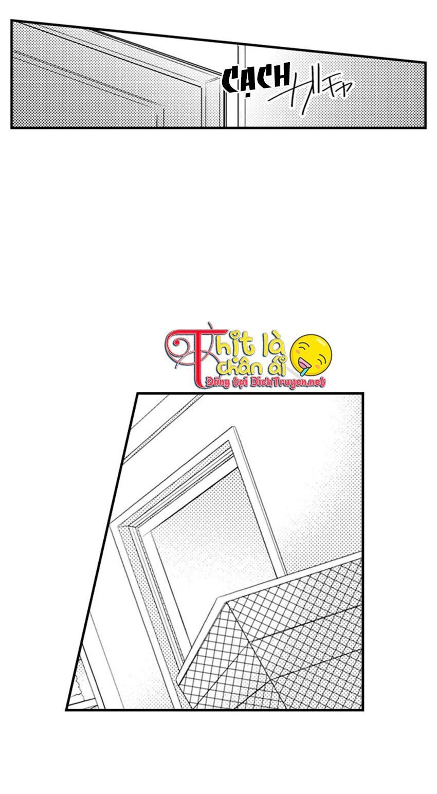 Giả Vờ Ngủ Cũng Không Ngăn Được Anh Ấy Chapter 7 - Trang 9