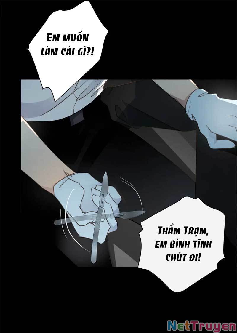 Tiên Sinh Nói Dối Chapter 60 - Trang 23