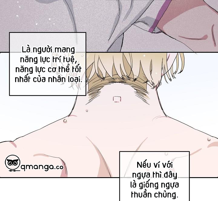 Chàng Tuấn Mã Của Tôi Chapter 2 - Trang 14