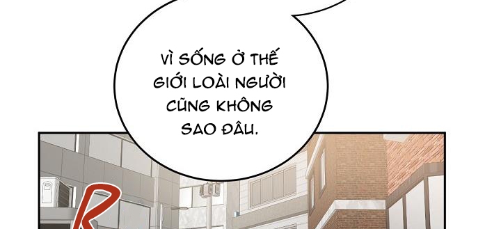 Kẻ cắp Mặt Trăng Chapter 61: End - Trang 72