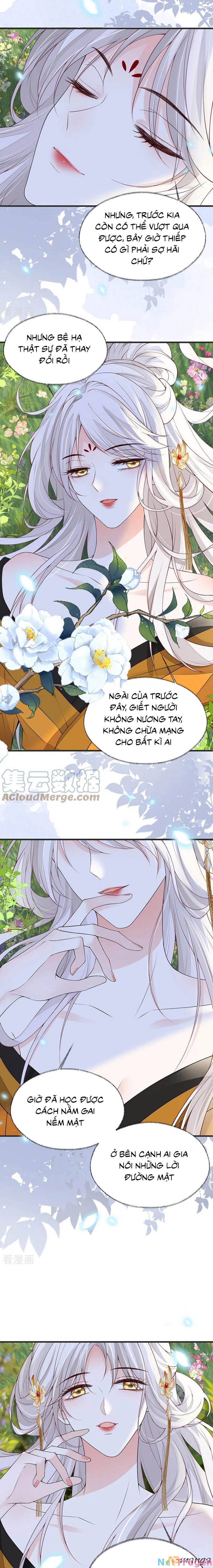 Thái Hậu Quân Hạ Thần Chapter 107 - Trang 5