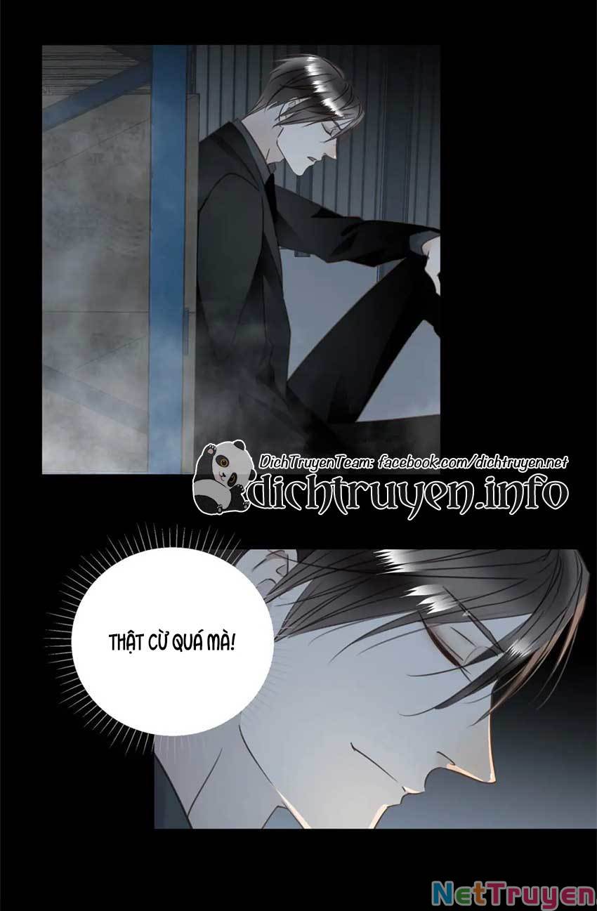 Tiên Sinh Nói Dối Chapter 61 - Trang 33