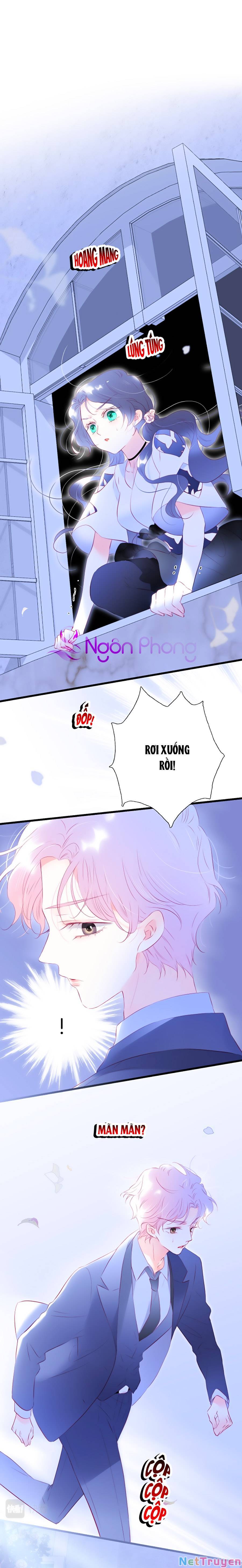 Hoa Bỏ Chạy Với Nhím Rồi Chapter 39 - Trang 1