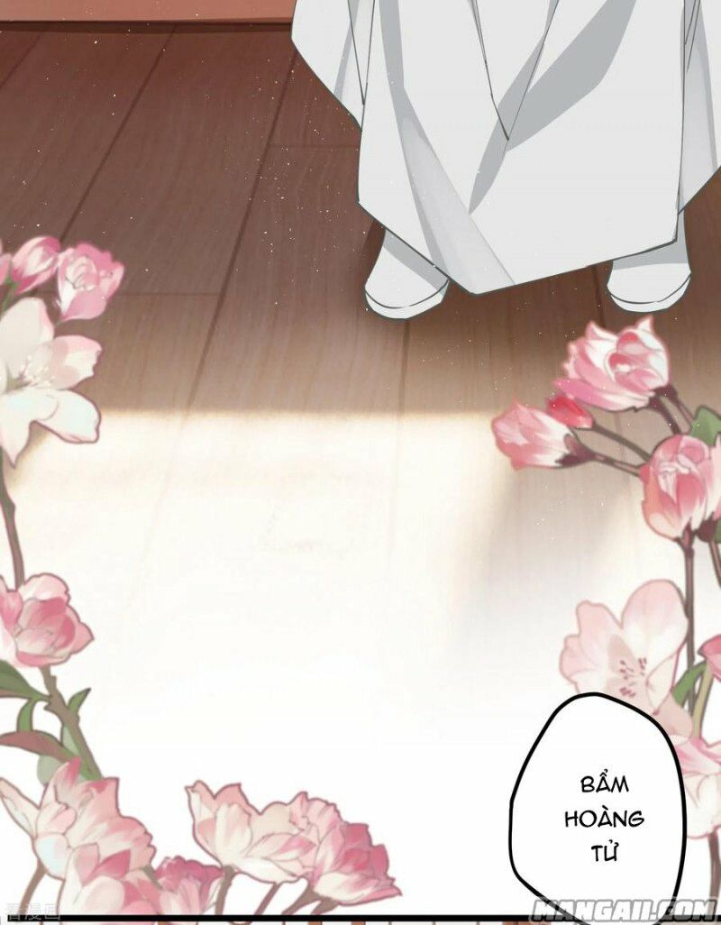 Công Chúa Pháo Hôi Muốn Tùy Tiện Đến Cùng Chapter 61 - Trang 14