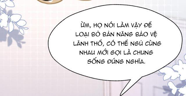 Một Ngụm Nuốt Trọn Thỏ Con Chapter 14 - Trang 27