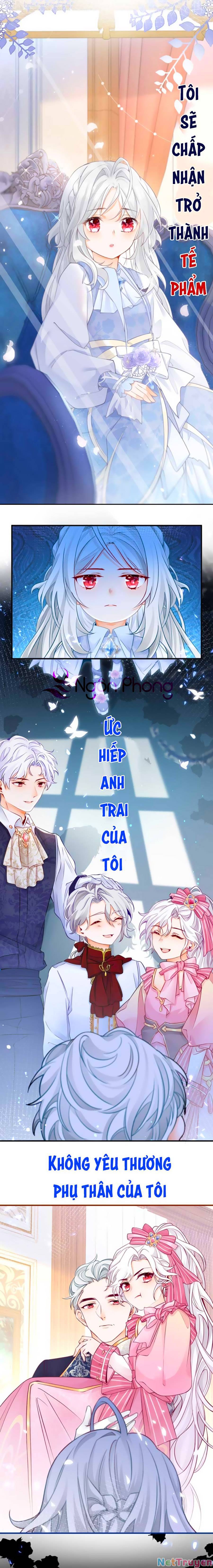 Ngày Nào Đó Trở Thành Công Chúa Tế Phẩm Chapter 0 - Trang 5