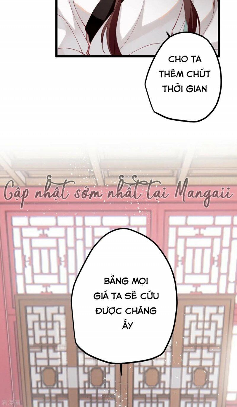 Công Chúa Pháo Hôi Muốn Tùy Tiện Đến Cùng Chapter 69 - Trang 14