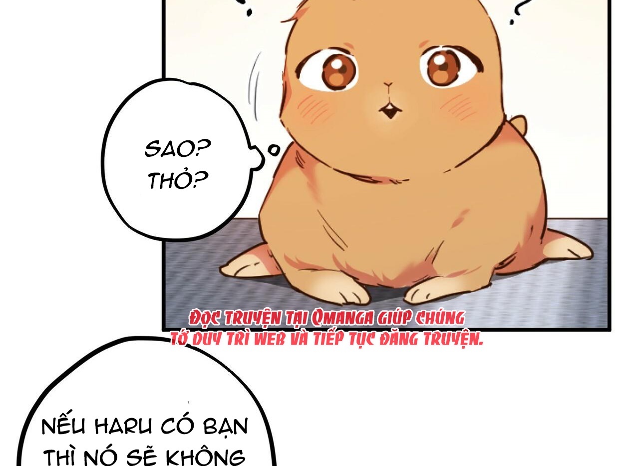 Đàn Thỏ Của Habibi Chapter 1 - Trang 109