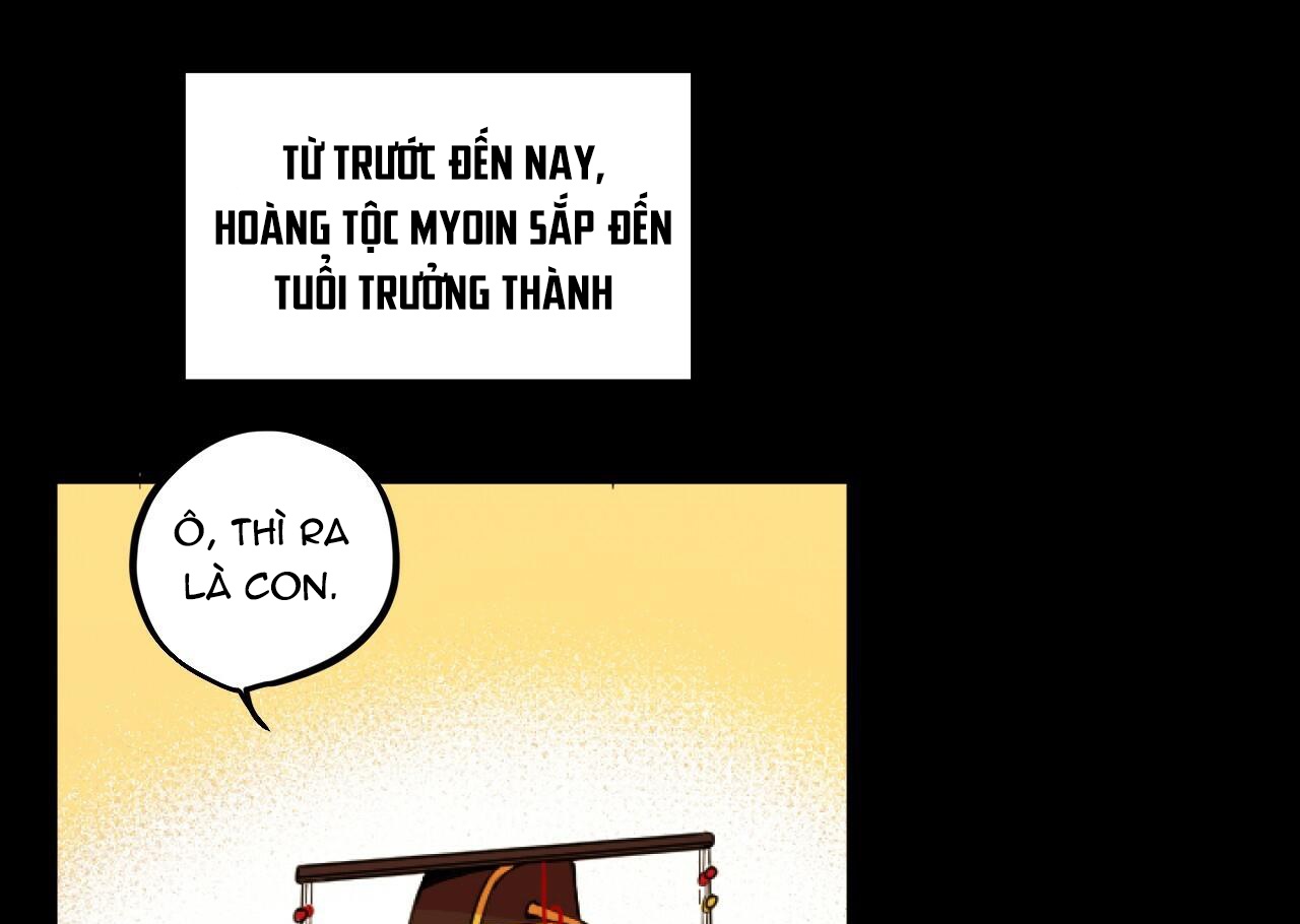 Đàn Thỏ Của Habibi Chapter 1 - Trang 152