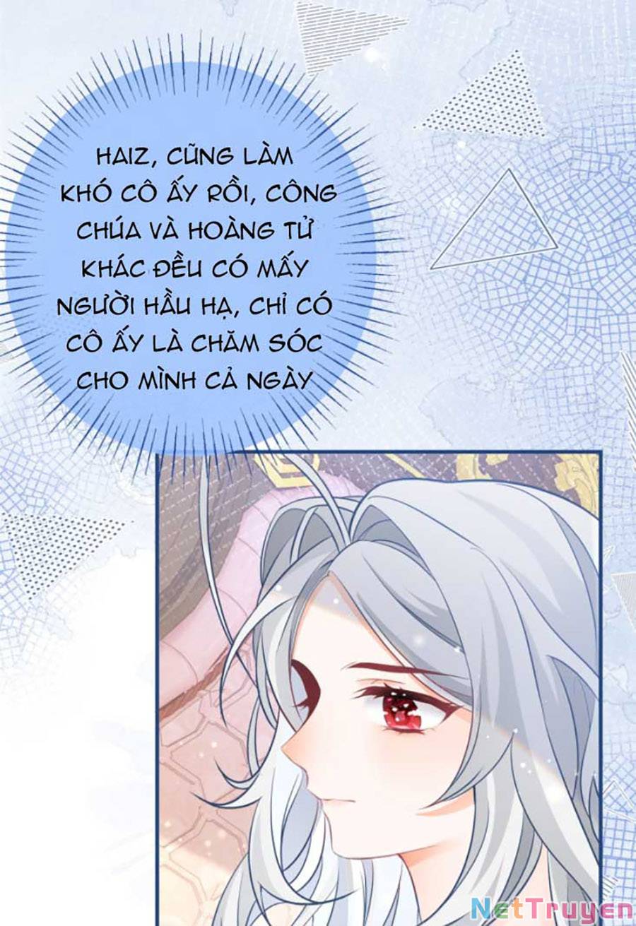 Ngày Nào Đó Trở Thành Công Chúa Tế Phẩm Chapter 7 - Trang 14