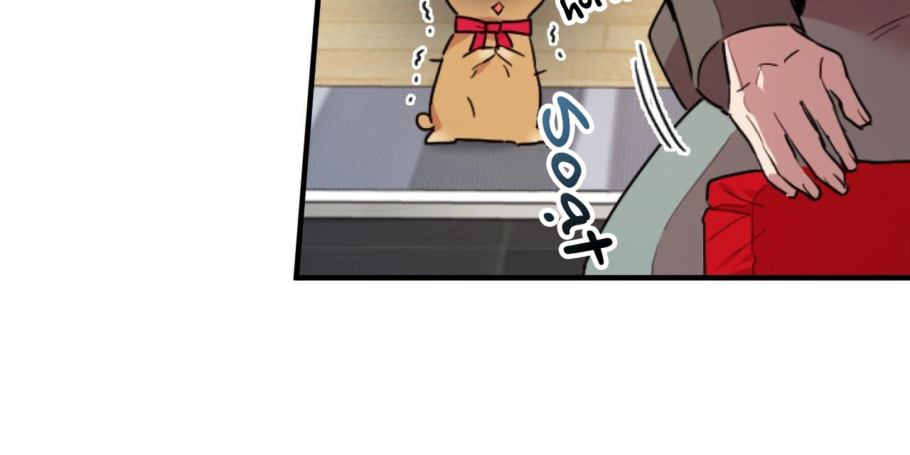Đàn Thỏ Của Habibi Chapter 2 - Trang 51