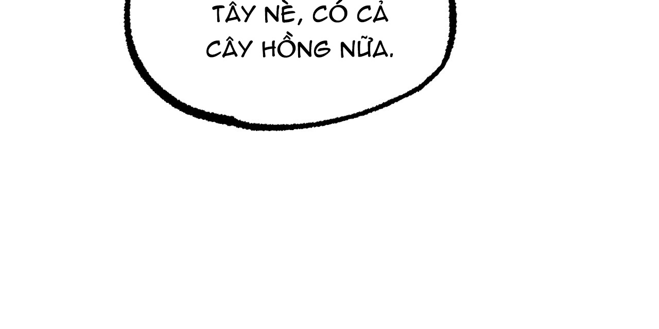Đàn Thỏ Của Habibi Chapter 4 - Trang 211