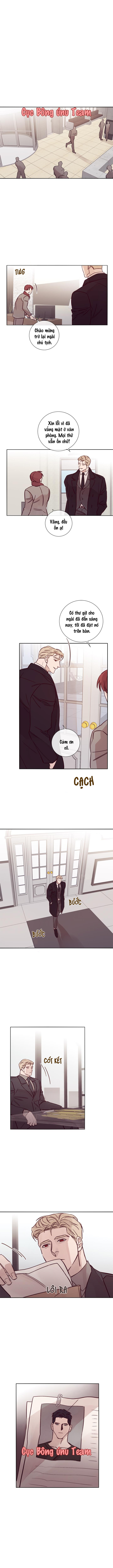 Độc Dược (Marcel) Chapter 12 - Trang 7