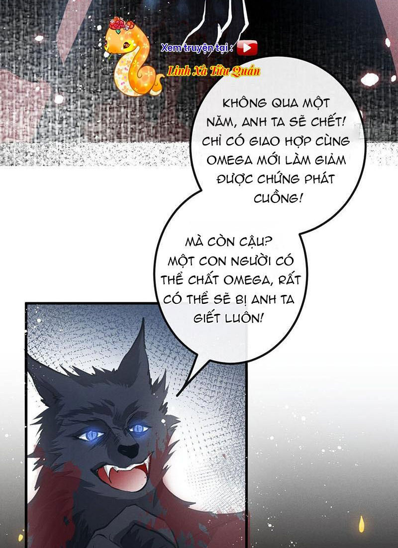 Sự Quyến Rũ Của Sói Chapter 13 - Trang 39