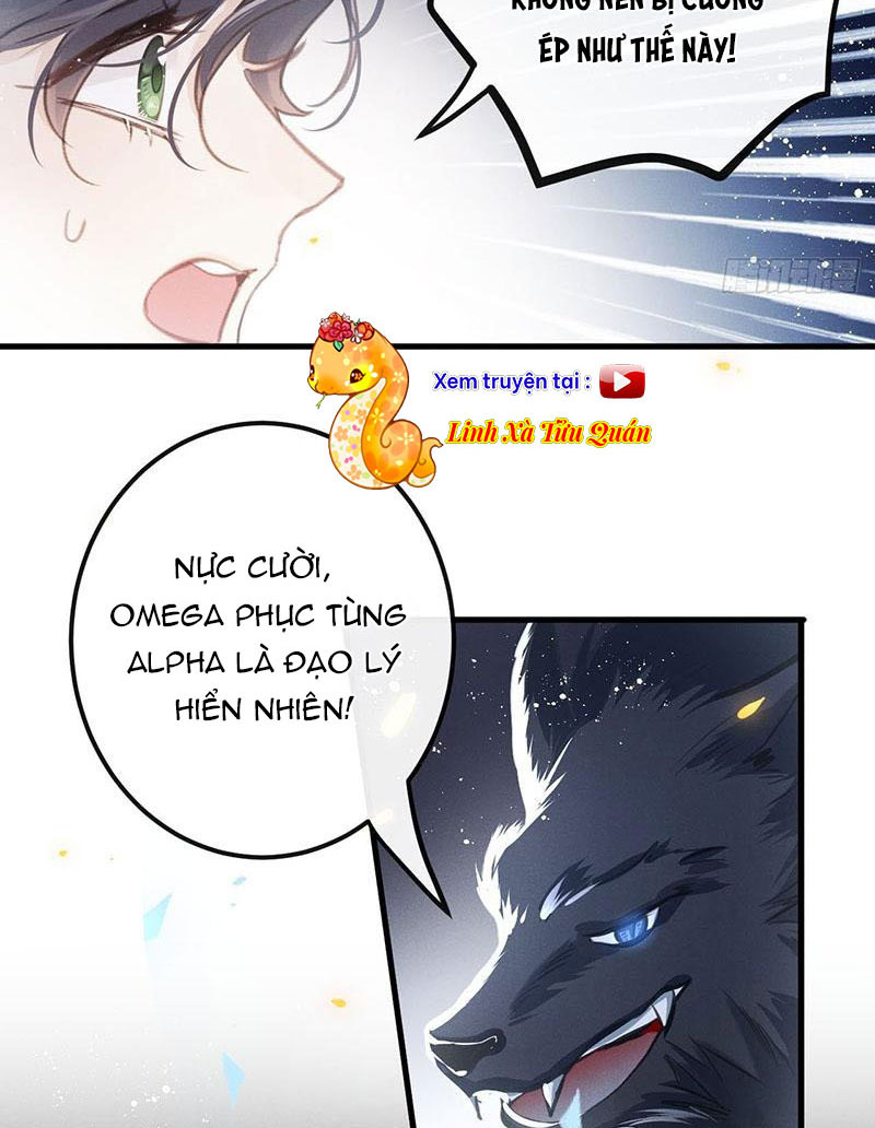 Sự Quyến Rũ Của Sói Chapter 13 - Trang 9