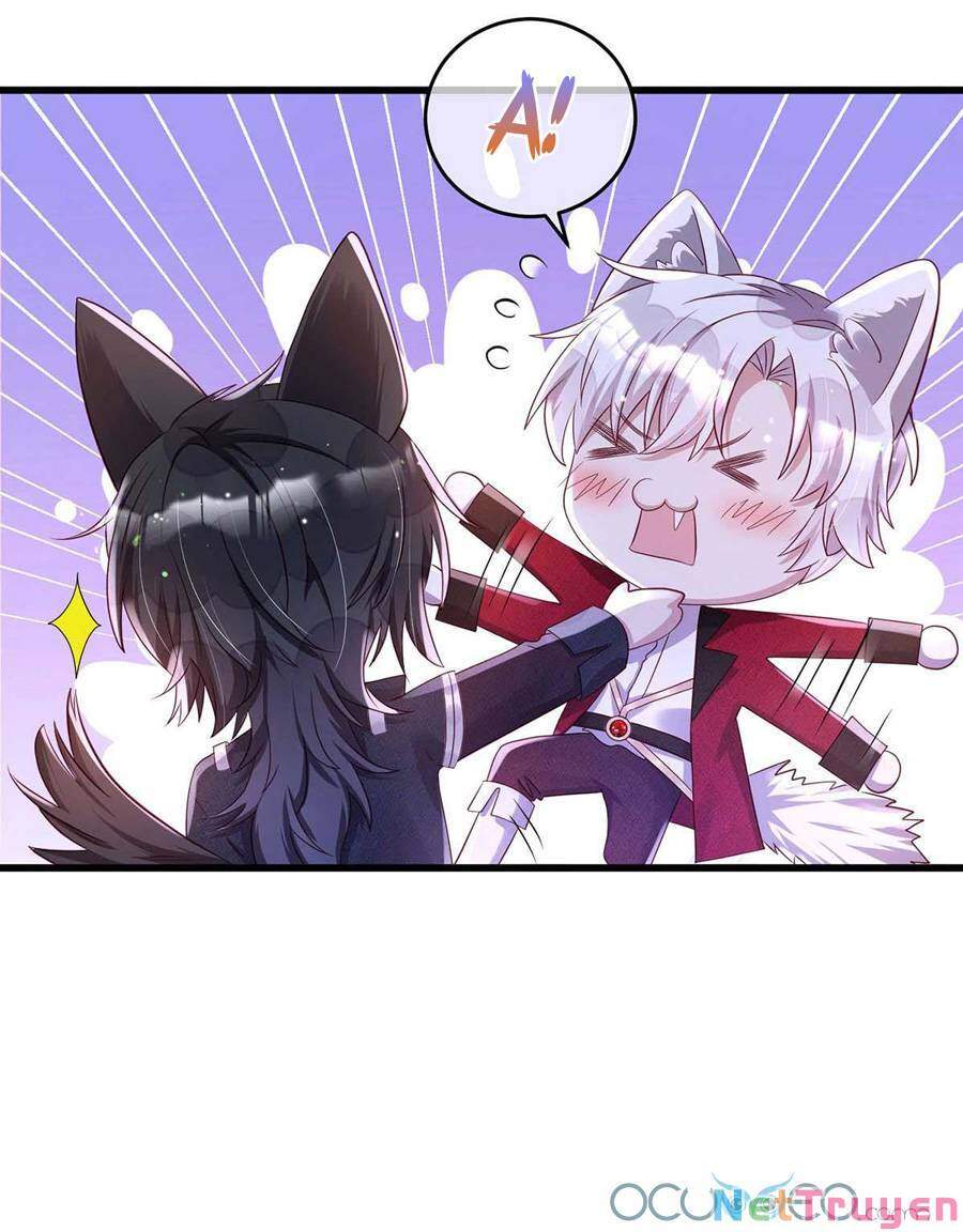 Dẫn Sói Vào Nhà Chapter 13 - Trang 12