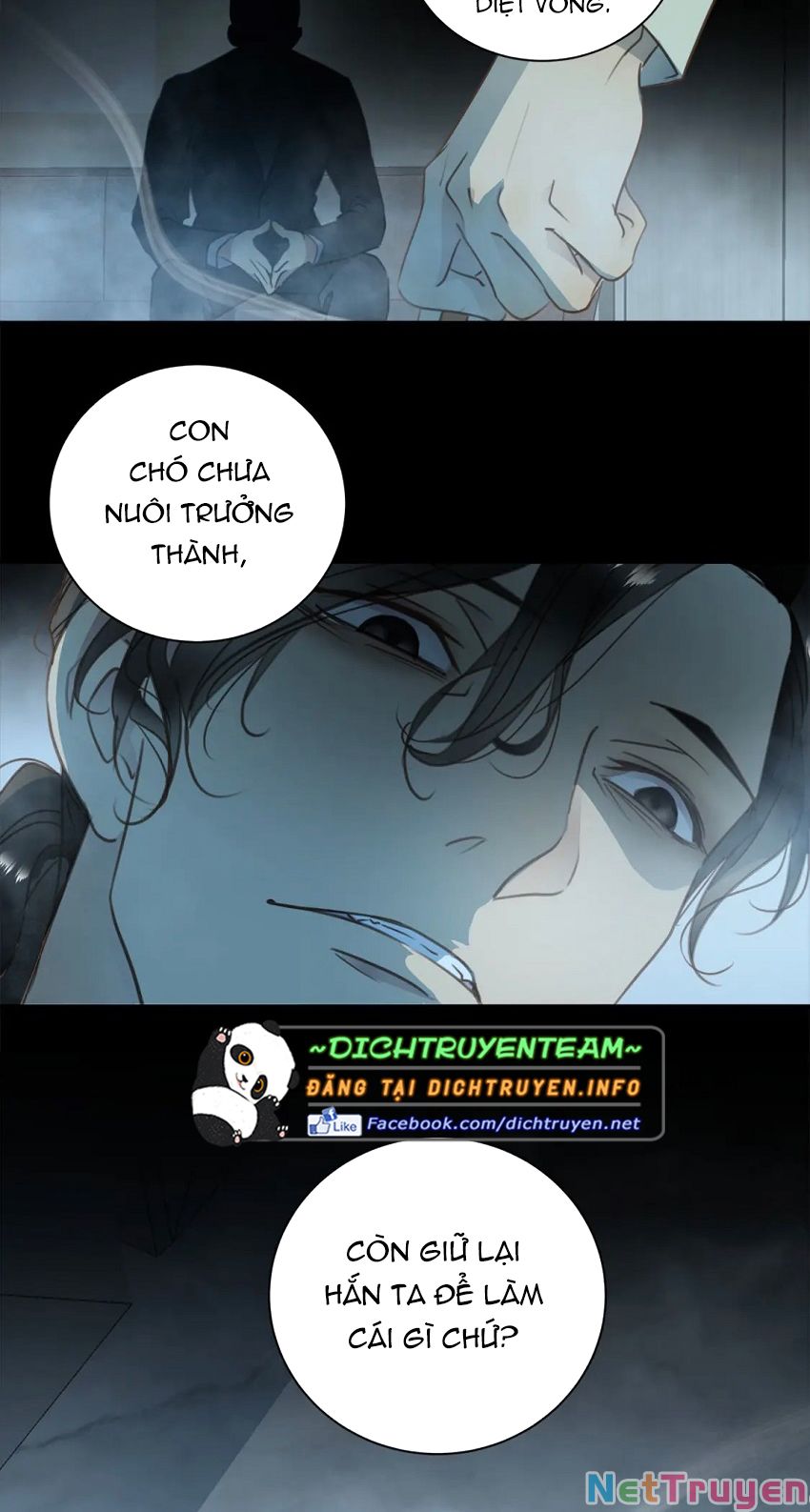 Tiên Sinh Nói Dối Chapter 67 - Trang 37