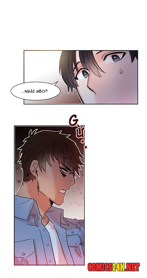 Chàng Mèo Trong Hộp Carton Chapter 11 - Trang 8