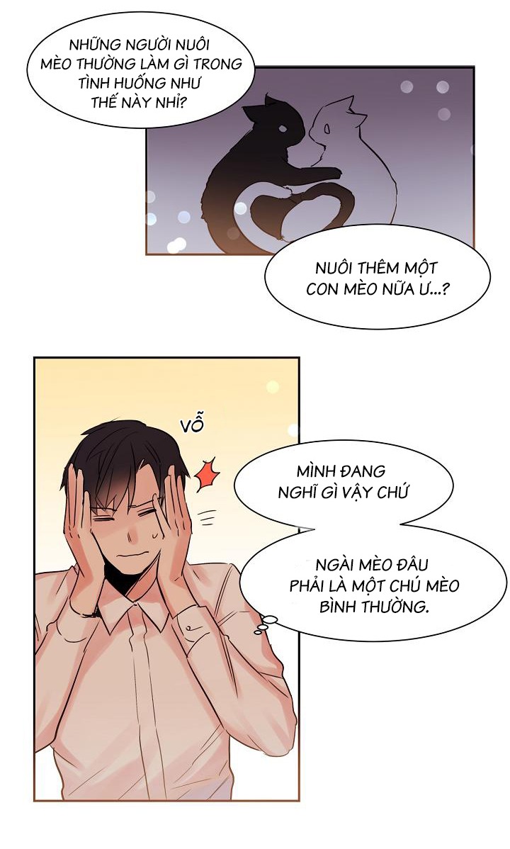 Chàng Mèo Trong Hộp Carton Chapter 12 - Trang 21