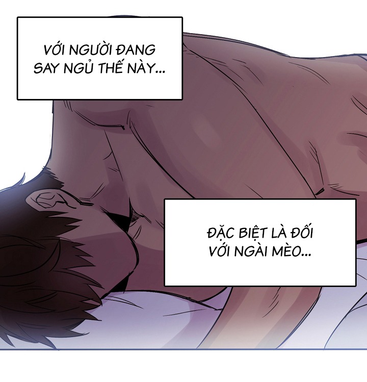 Chàng Mèo Trong Hộp Carton Chapter 14 - Trang 50