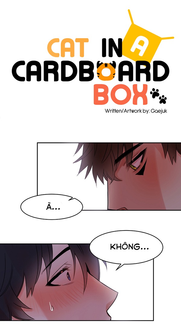 Chàng Mèo Trong Hộp Carton Chapter 15 - Trang 6