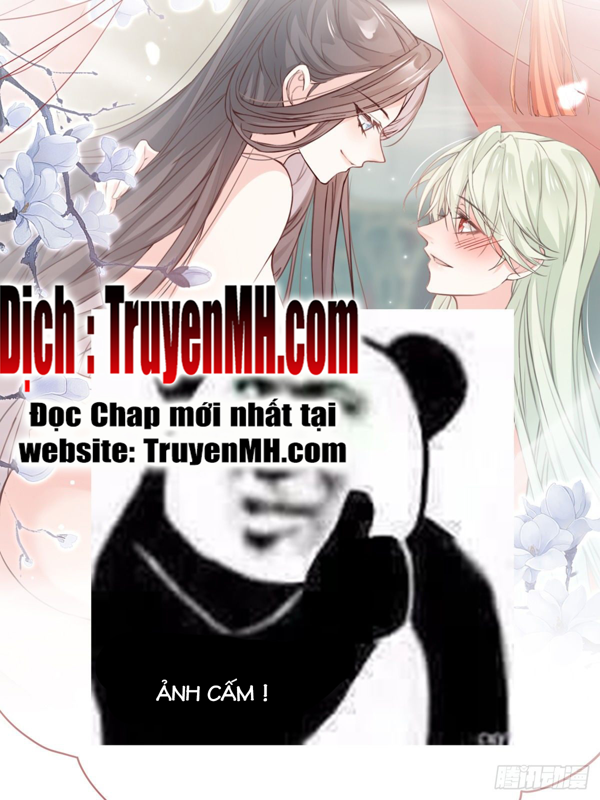 Kiều Mỵ Phu Lang, Tại Tuyến Lục Trà Chapter 1 - Trang 14