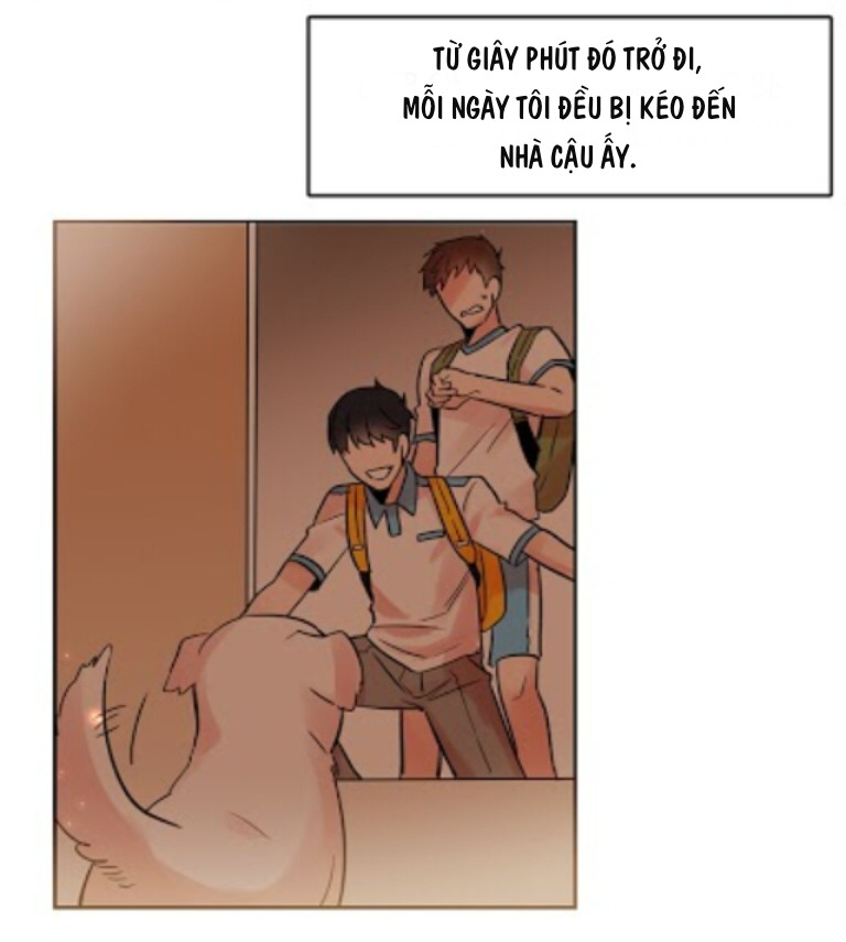 Chàng Mèo Trong Hộp Carton Chapter 16 - Trang 31