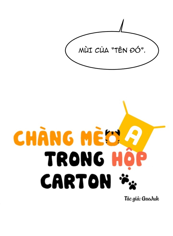 Chàng Mèo Trong Hộp Carton Chapter 17 - Trang 49