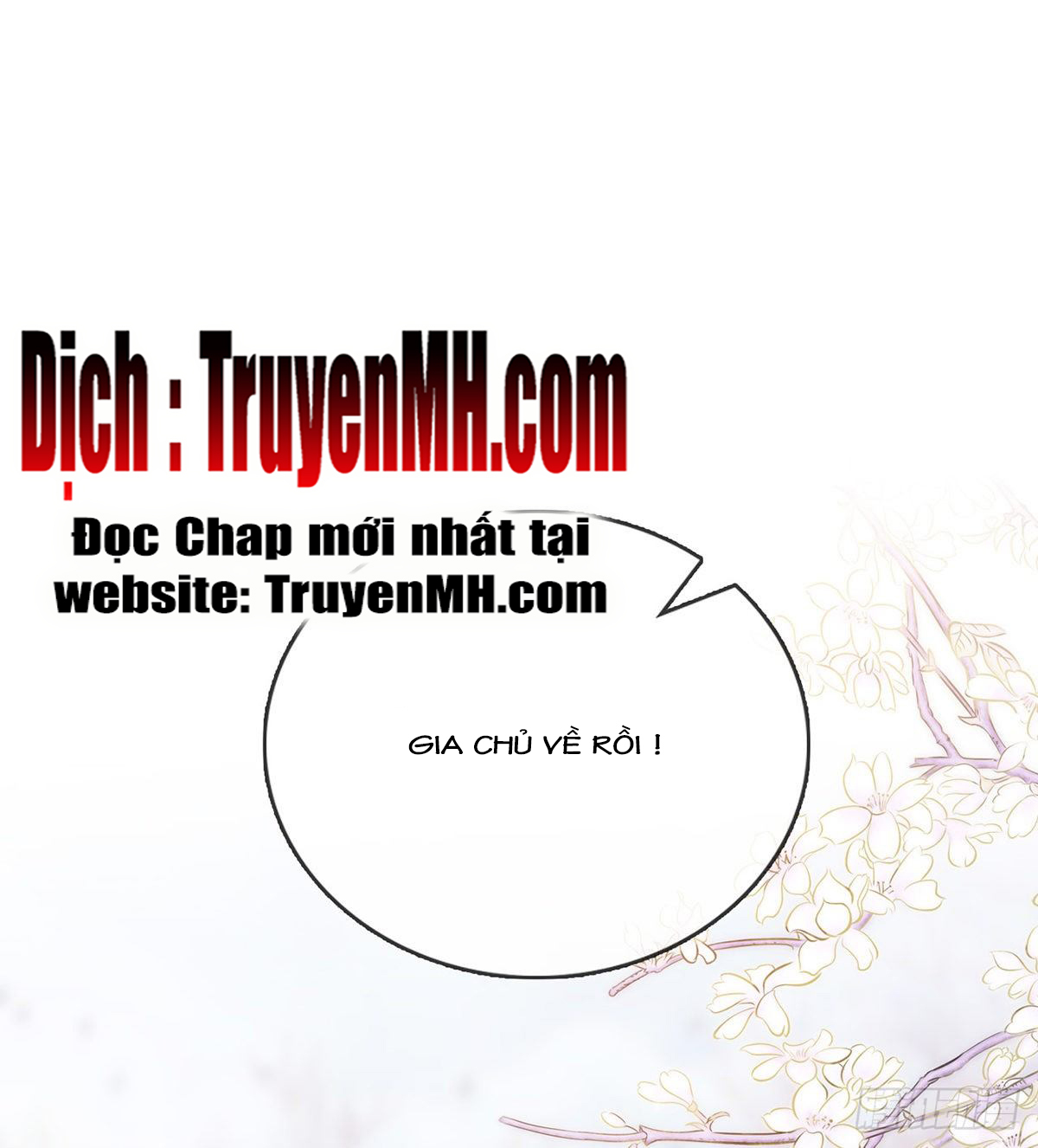 Kiều Mỵ Phu Lang, Tại Tuyến Lục Trà Chapter 8 - Trang 19