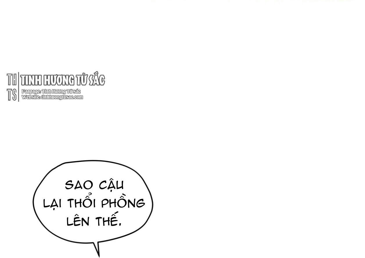 Phạm Luật Chapter 15 - Trang 48