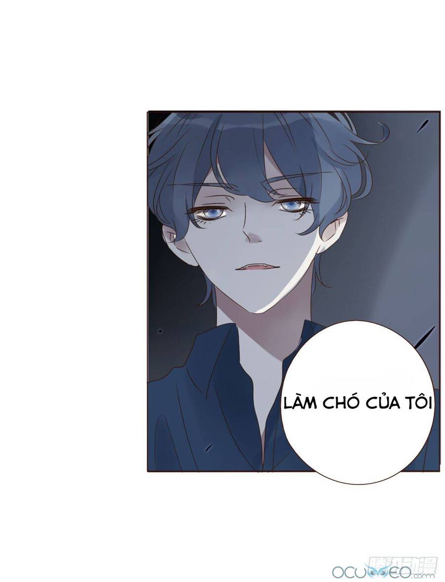 Ôm Hôn Mạc Nhiên Chapter 20 - Trang 17