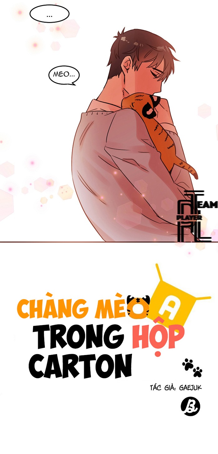 Chàng Mèo Trong Hộp Carton Chapter 18 - Trang 47