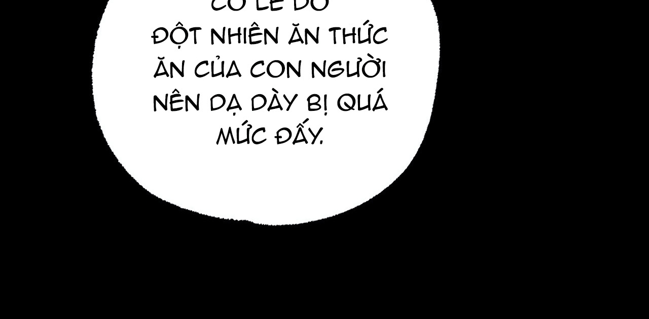 Đàn Thỏ Của Habibi Chapter 14 - Trang 209