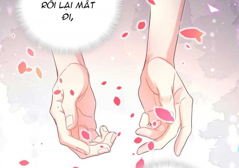 Chim Hoàng Yến Bị Chính Mình Trói Buộc Chapter 107 - Trang 41