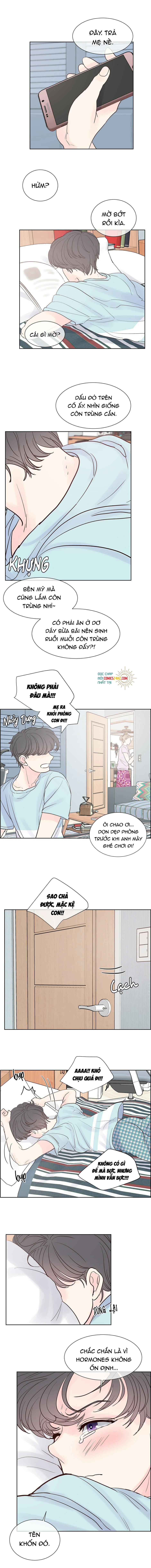 Mối Tình Chớp Nhoáng Chapter 46 - Trang 6