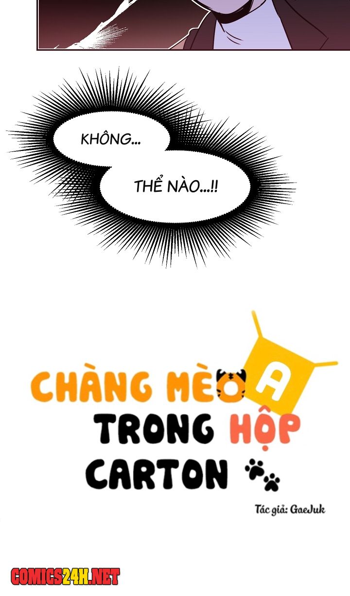 Chàng Mèo Trong Hộp Carton Chapter 21 - Trang 22