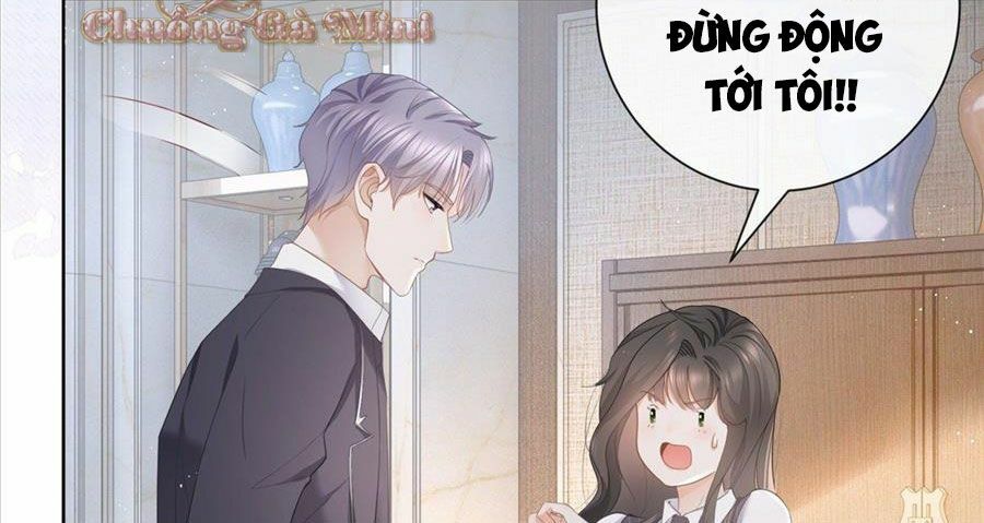 Boss Sát Thủ Dưỡng Hồ Yêu Chapter 10 - Trang 13