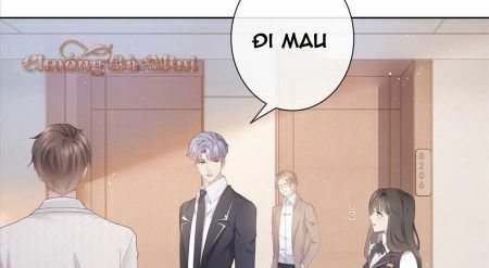 Boss Sát Thủ Dưỡng Hồ Yêu Chapter 10 - Trang 45